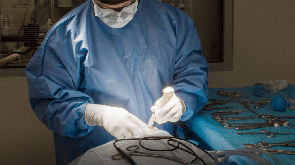 veterinary surgeon using VETIGEL