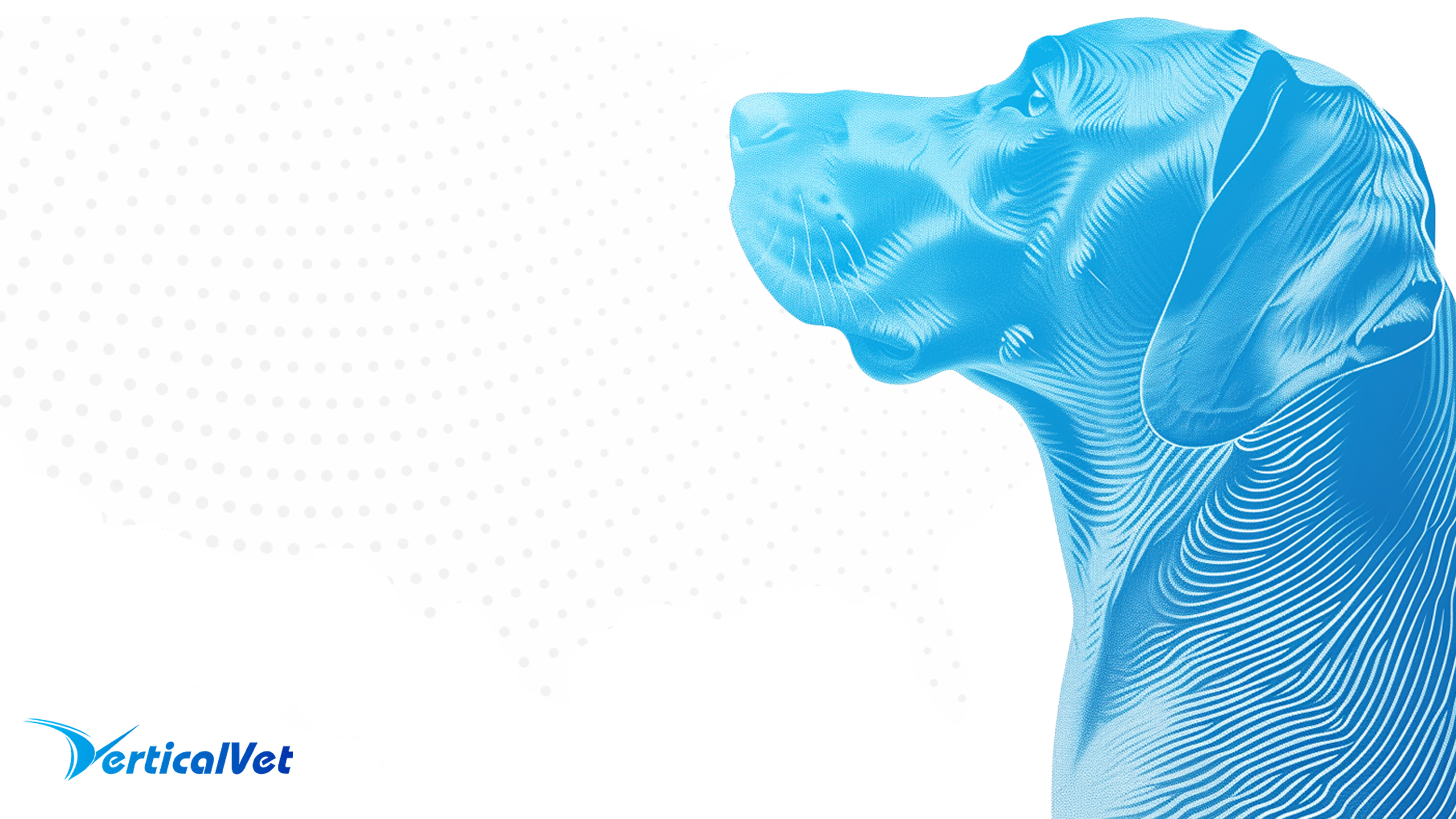 Cresilon Announces Preferred Partnership Agreement for VETIGEL with VerticalVet